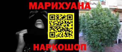 сатива Комсомольск-на-Амуре
