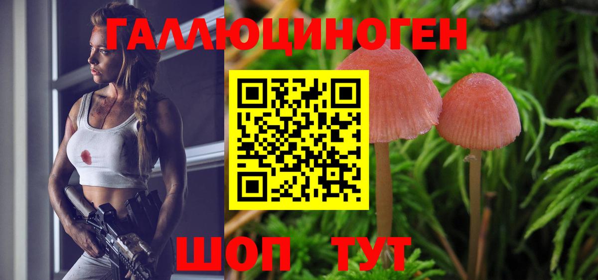 Коркино  Галлюциногенные грибы Psilocybine cubensis  Вход с VPN 